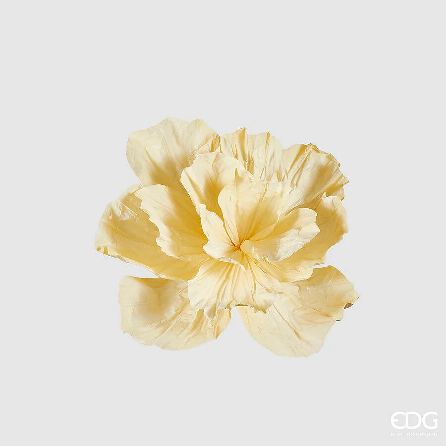 EDG Enzo De Gasperi Peonia Jumbo da Appendere H 60 Cm D 80 Cm Light Yellow