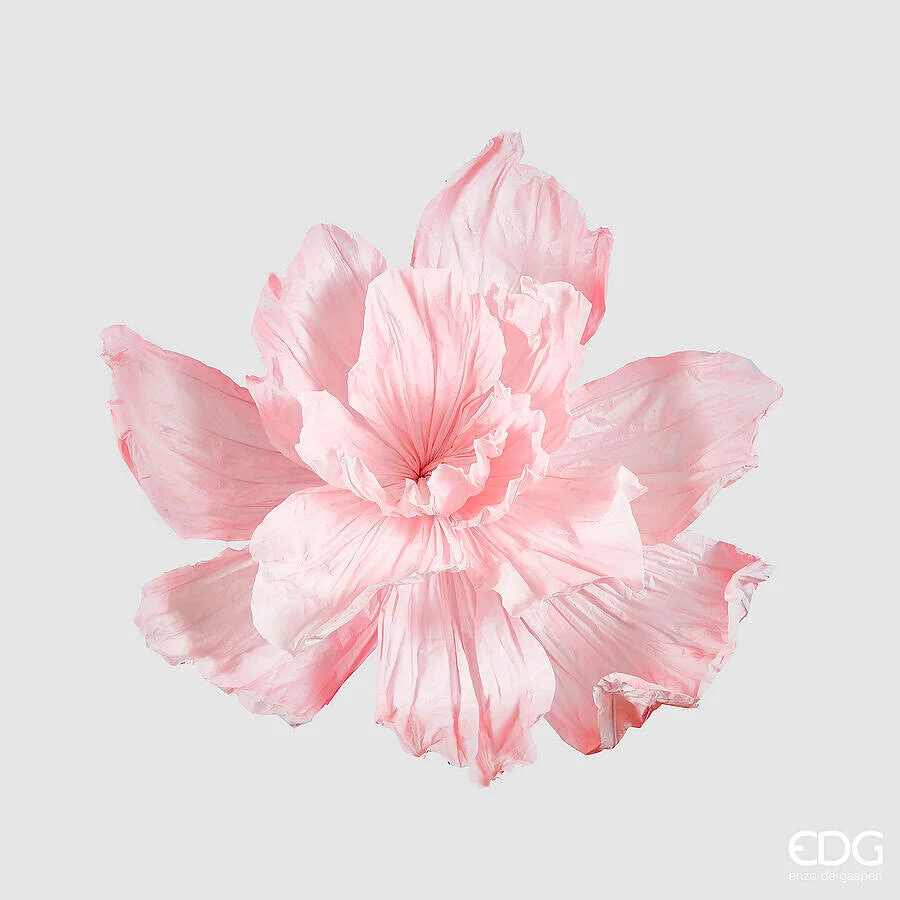 EDG Enzo De Gasperi Peonia Jumbo da Appendere H 70 Cm D 100 Cm Light Pink