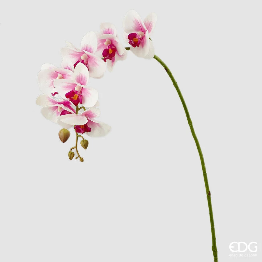 EDG Enzo De Gasperi Orchidea Phalaenopsis Real Ramo Artificiale H 76 Cm White Violet