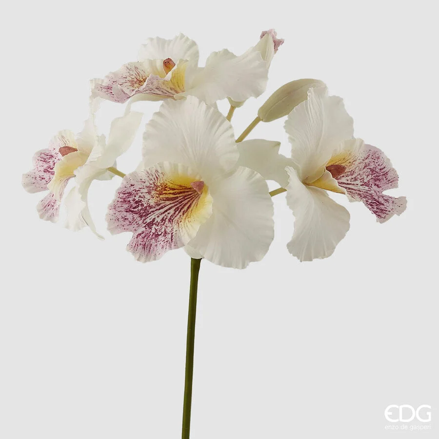EDG Enzo De Gasperi Orchidea Cattleya Duke Ramo x4 e 2 Boccioli Artificiale H 43 Cm White Violet