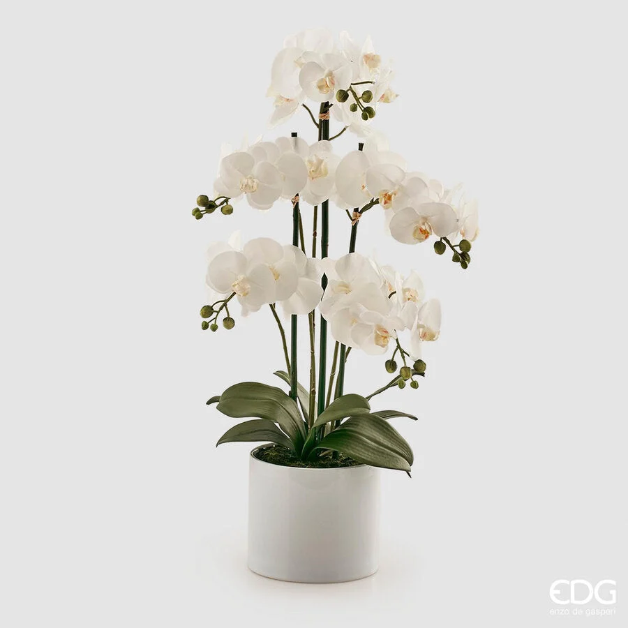 EDG Enzo De Gasperi Orchidea Phalaenopsis Pianta x5 con Vaso Artificiale H 65 Cm White