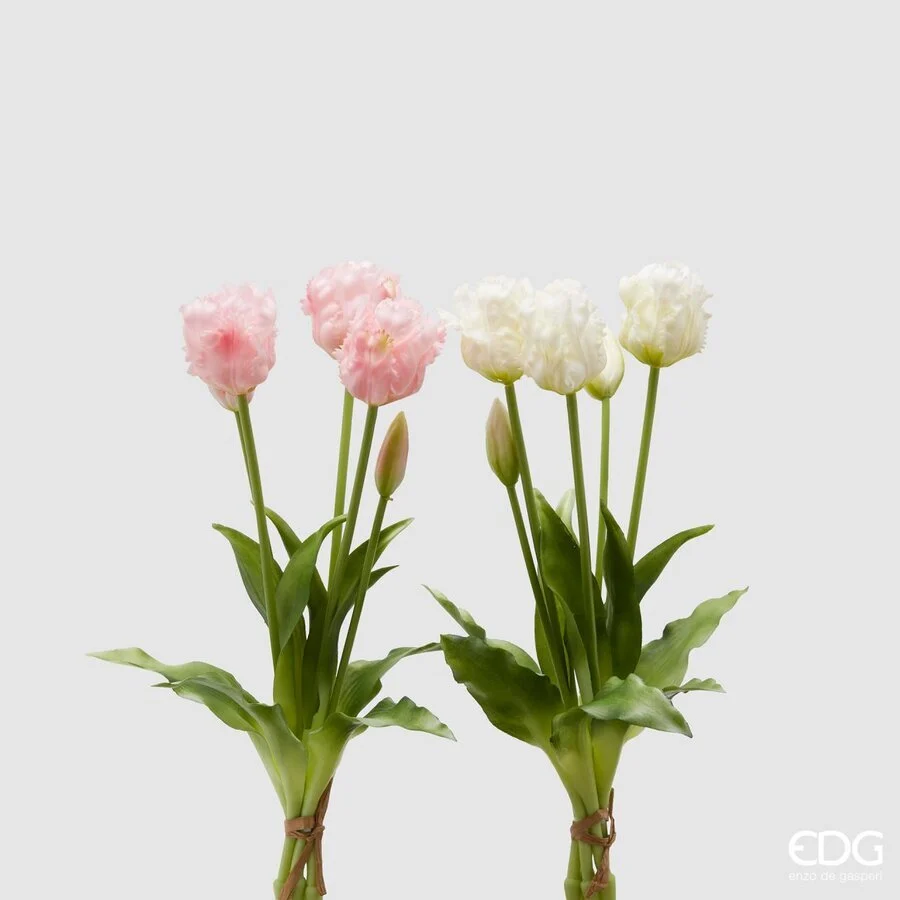 EDG Enzo De Gasperi Bouquet 5 Tulipani Parrot Olis Ass. H 40 Cm White Pink 1 Pz