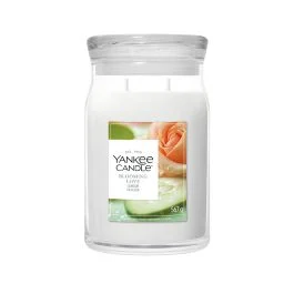 CANDELA IN GIARA GRANDE BLOOMING LOVE