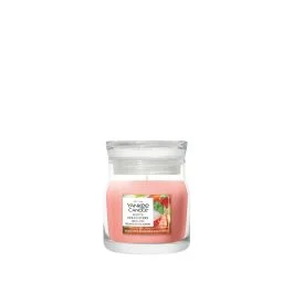 CANDELA IN GIARA PICCOLA WHITE STRAWBERRY BELLINI