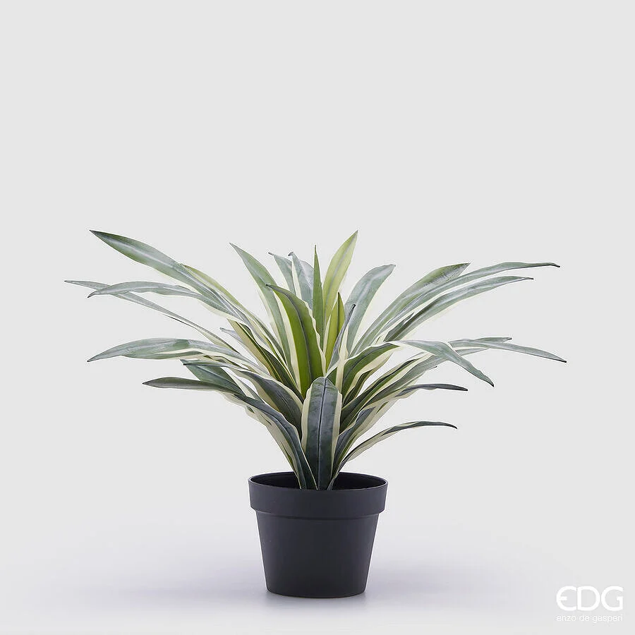 EDG Enzo De Gasperi Agave Succ. con Vaso Artificiale H 45 Cm Green Mix