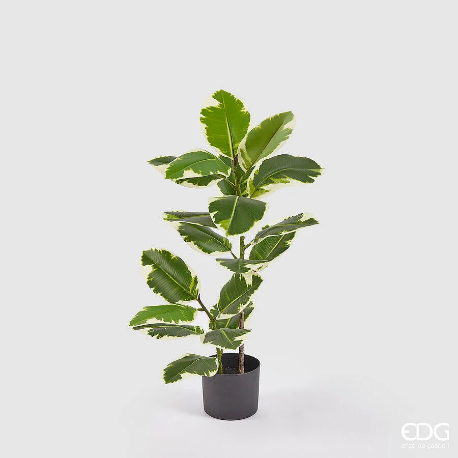 EDG Enzo De Gasperi Ficus Elastica con Vaso Artificiale H 95 Cm Green Mix