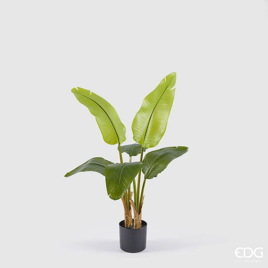 EDG Enzo De Gasperi Banano con Vaso Pianta Artificiale H 90 Cm Verde