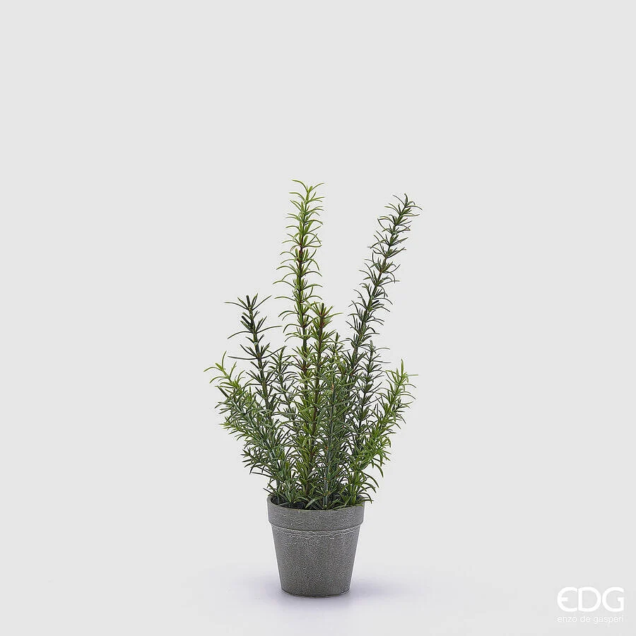 EDG Enzo De Gasperi Rosmarino con Vaso Artificiale H 38 Cm Green