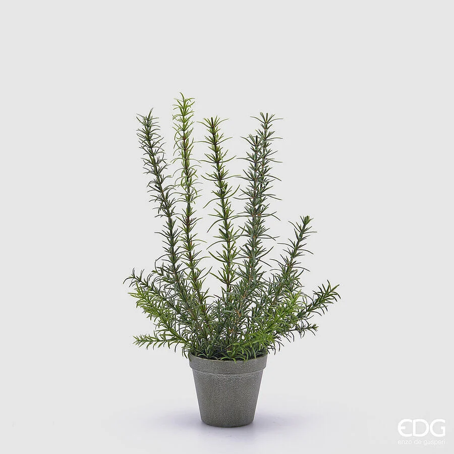 EDG Enzo De Gasperi Rosmarino con Vaso Artificiale H 46 Cm Green