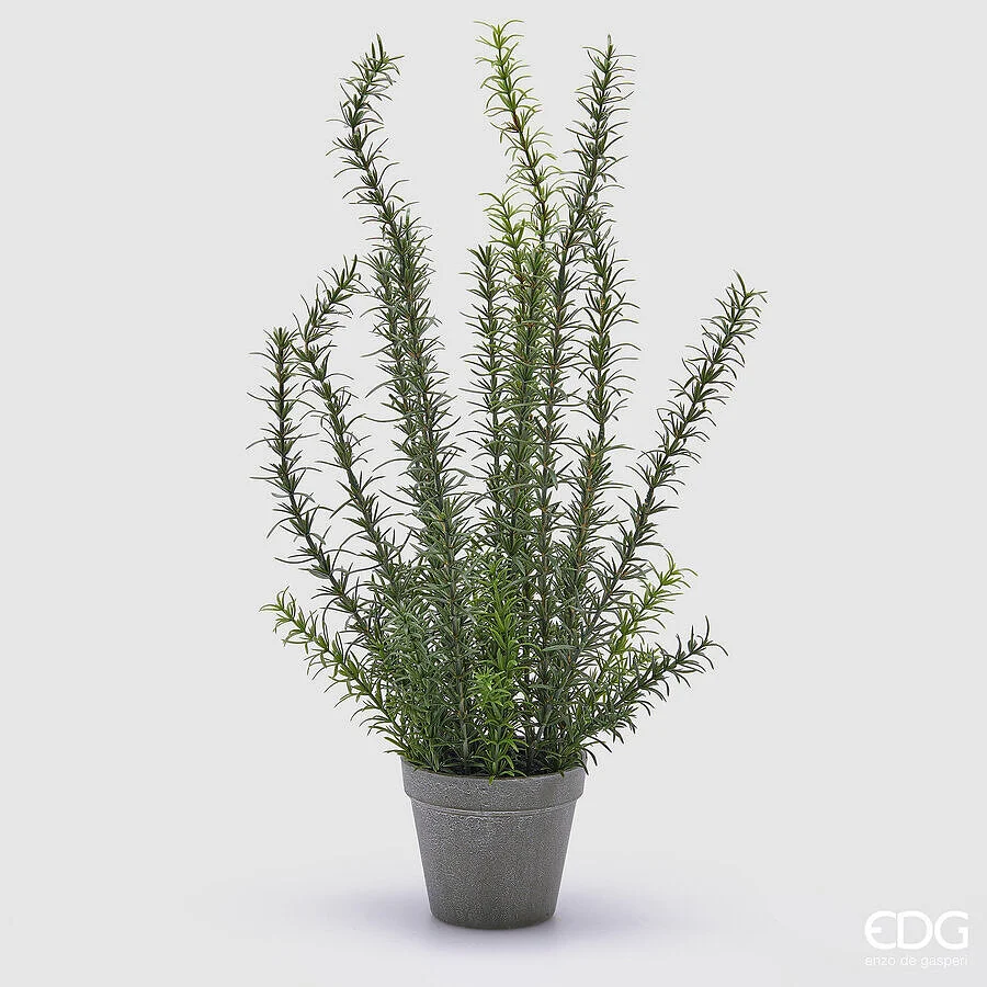 EDG Enzo De Gasperi Rosmarino con Vaso Artificiale H 58 Cm Green