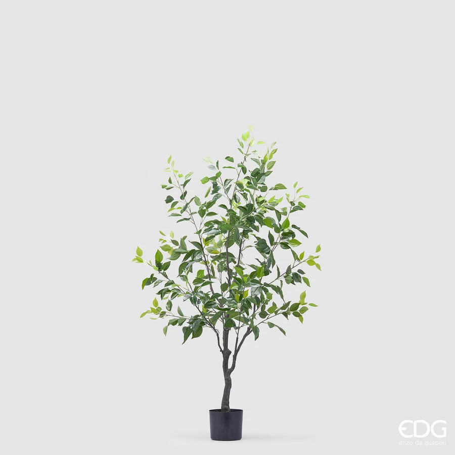 EDG Enzo De Gasperi Ficus Beniamino con Vaso Artificiale H 130 Cm Green