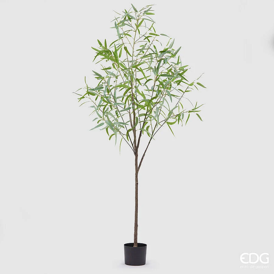 EDG Enzo De Gasperi Eucalipto con Vaso Artificiale H 200 Cm Light Green