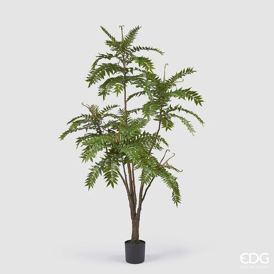 EDG Enzo De Gasperi Ailanto con Vaso Artificiale H 220 Cm Green