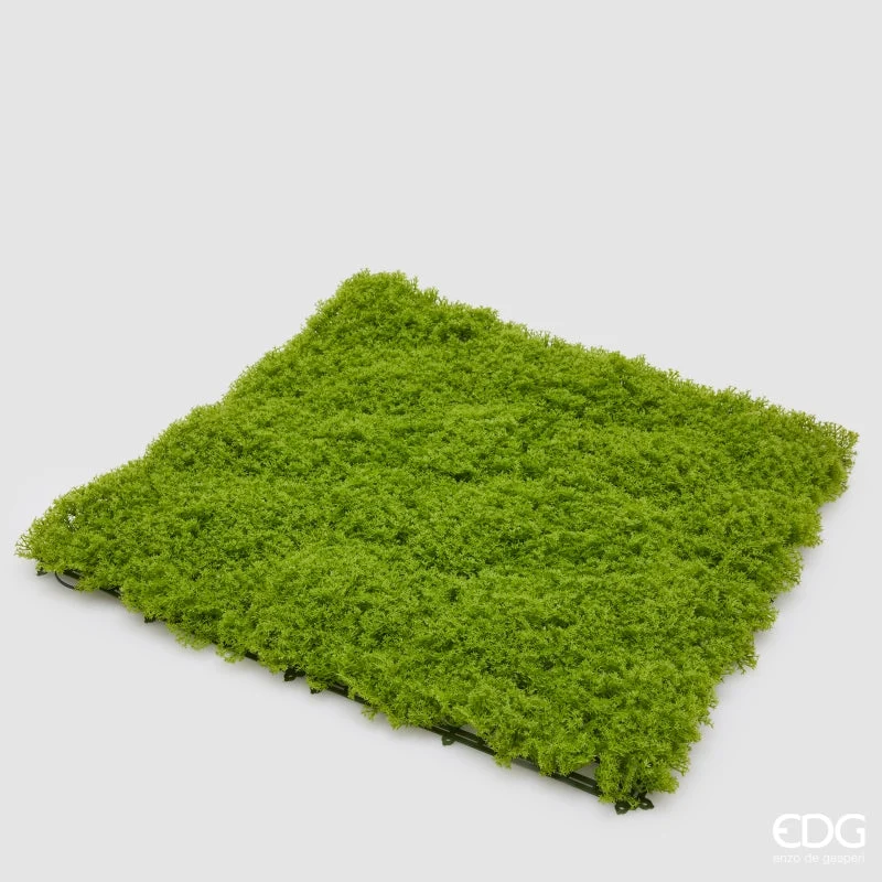 EDG Enzo De Gasperi Siepe Muschio L. 50 Cm L. 50 Cm Light Green Anti-UV Plastica