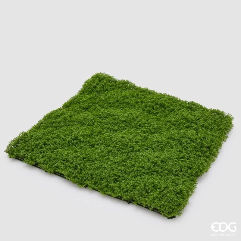 EDG Enzo De Gasperi Siepe Muschio L. 50 Cm L. 50 Cm Dark Green Anti-UV Plastica