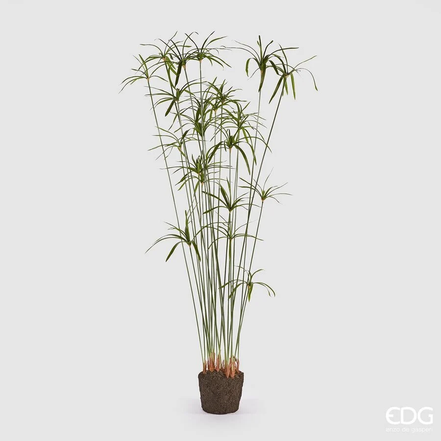 EDG Enzo De Gasperi Papiro Duke senza Zolla Artificiale H 185 Cm Green
