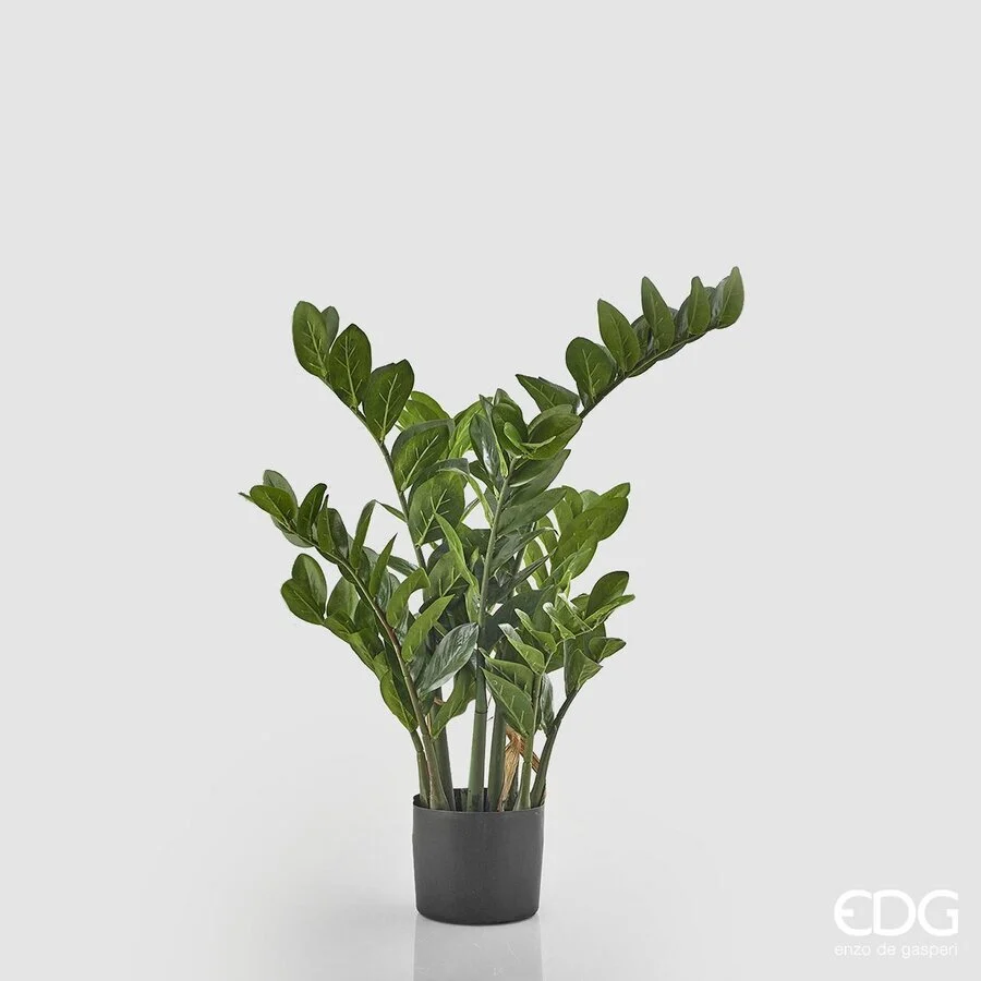 EDG Enzo De Gasperi Zamifolia 9 Rami con Vaso Artificiale H 90 Cm Green