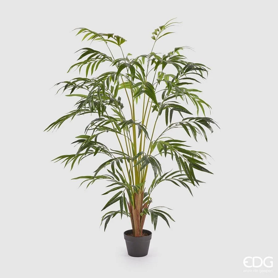 EDG Enzo De Gasperi Palma Areca con Vaso Artificiale H 150 Cm Green