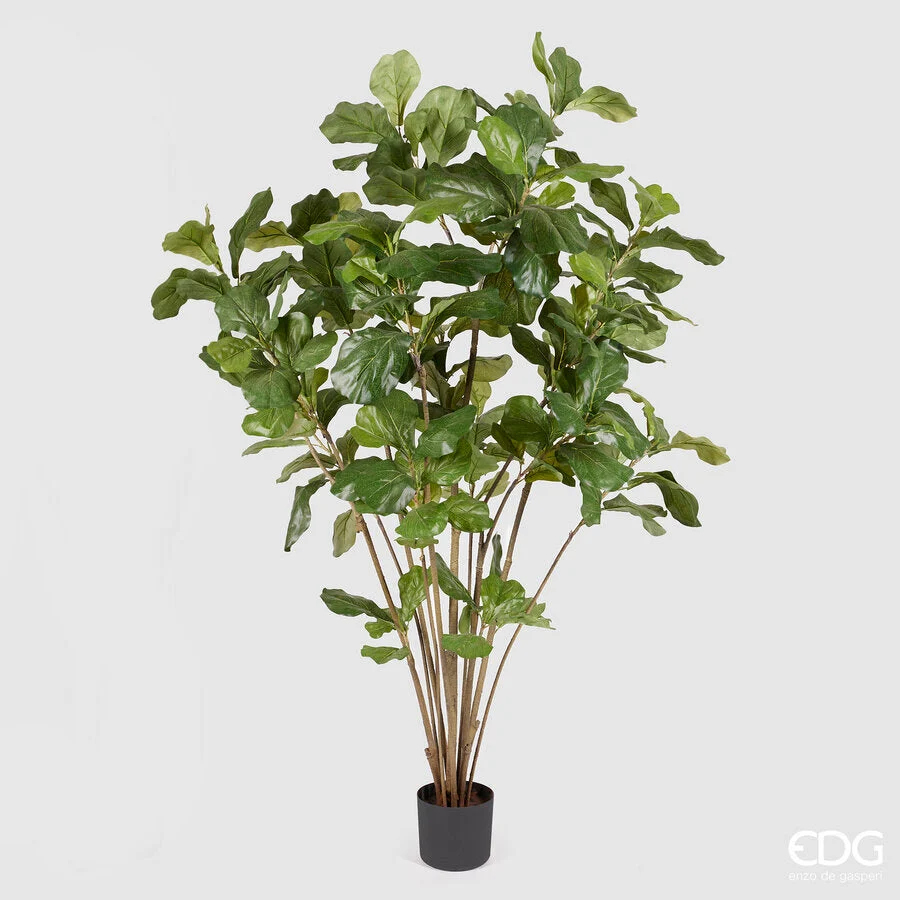 EDG Enzo De Gasperi Ficus Lyrata con Vaso Artificiale H 180 Cm Green