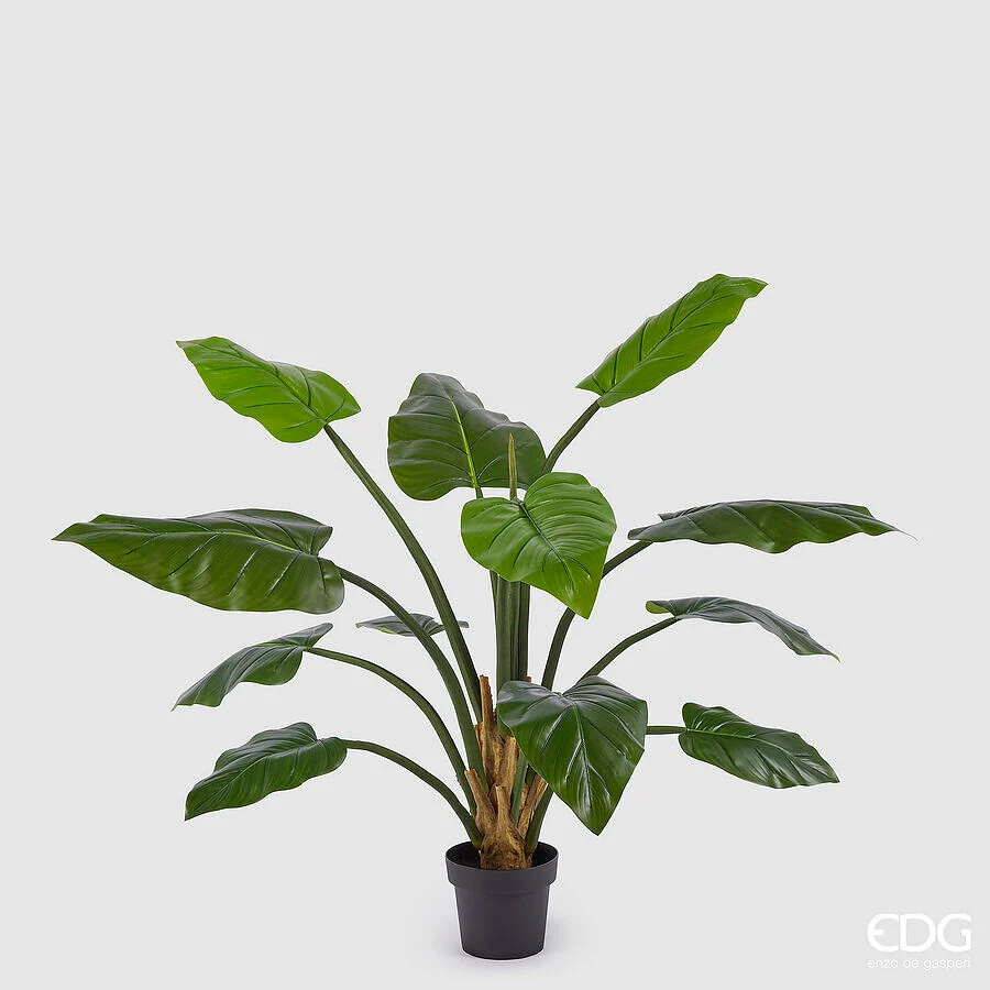 EDG Enzo De Gasperi Filodendro Chic con Vaso Artificiale H 138 Cm Green