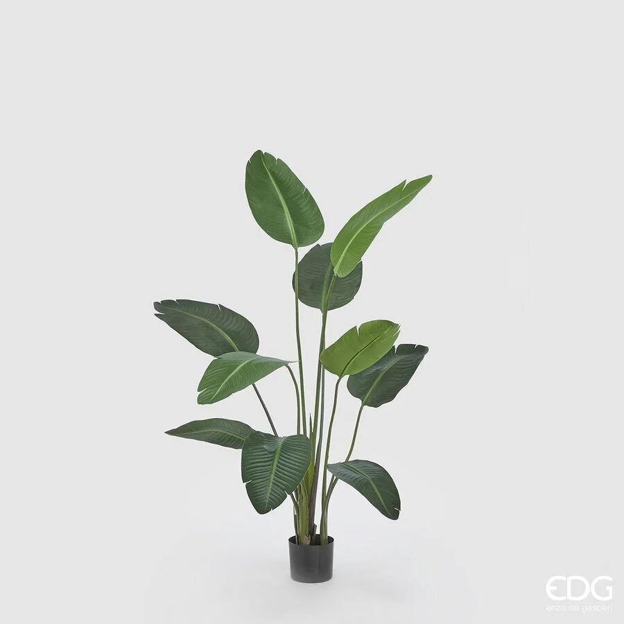 EDG Enzo De Gasperi Strelitzia Chic con Vaso Artificiale H 150 Cm Green