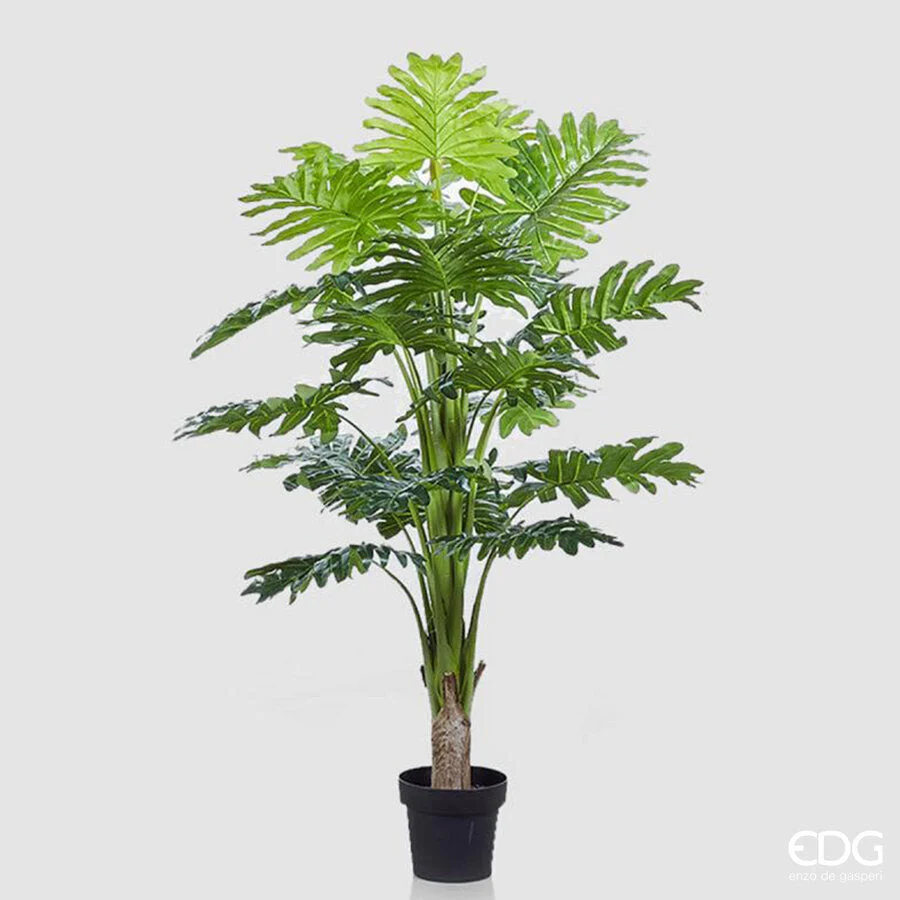 EDG Enzo De Gasperi Filodendro con Vaso Artificiale H 140 Cm Green