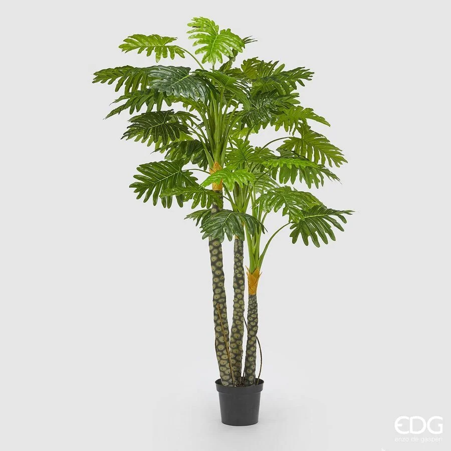EDG Enzo De Gasperi Filodendro con Vaso Artificiale H 240 Cm Green