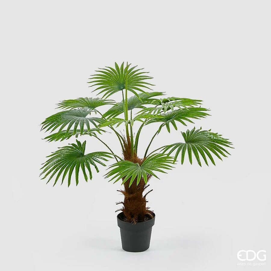 EDG Enzo De Gasperi Palma Cameruys con Vaso Artificiale H 100 Cm Green