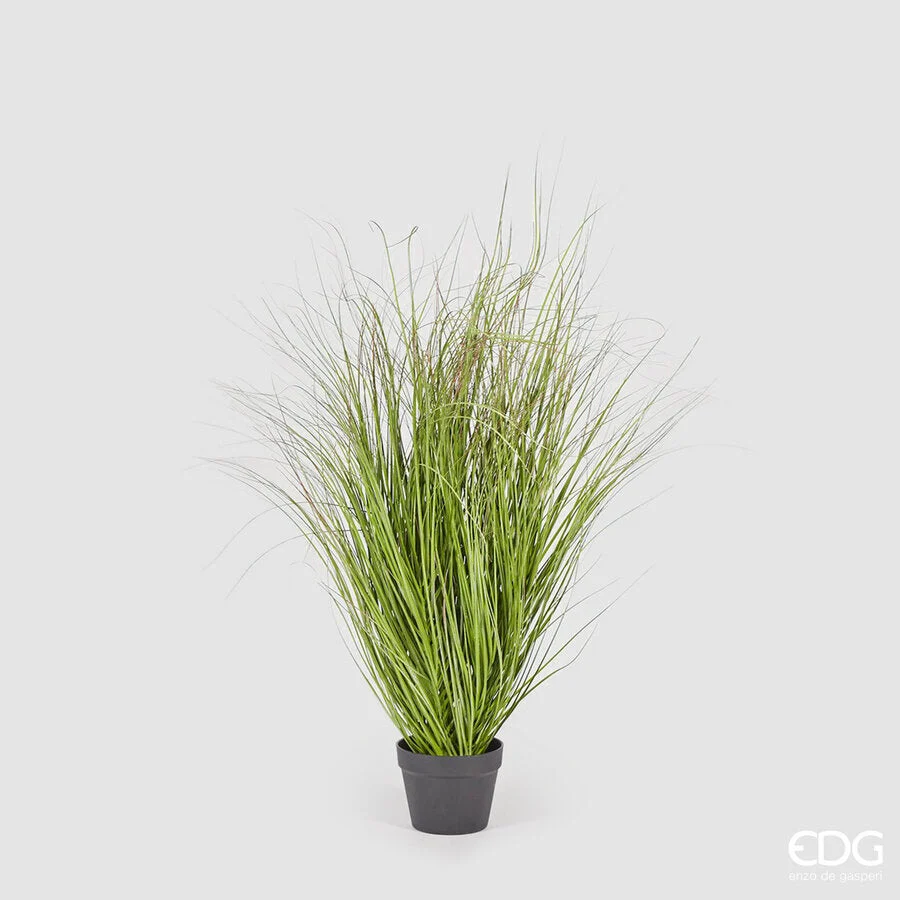 EDG Enzo De Gasperi Festuca con Vaso Artificiale H 122 Cm Green Pink