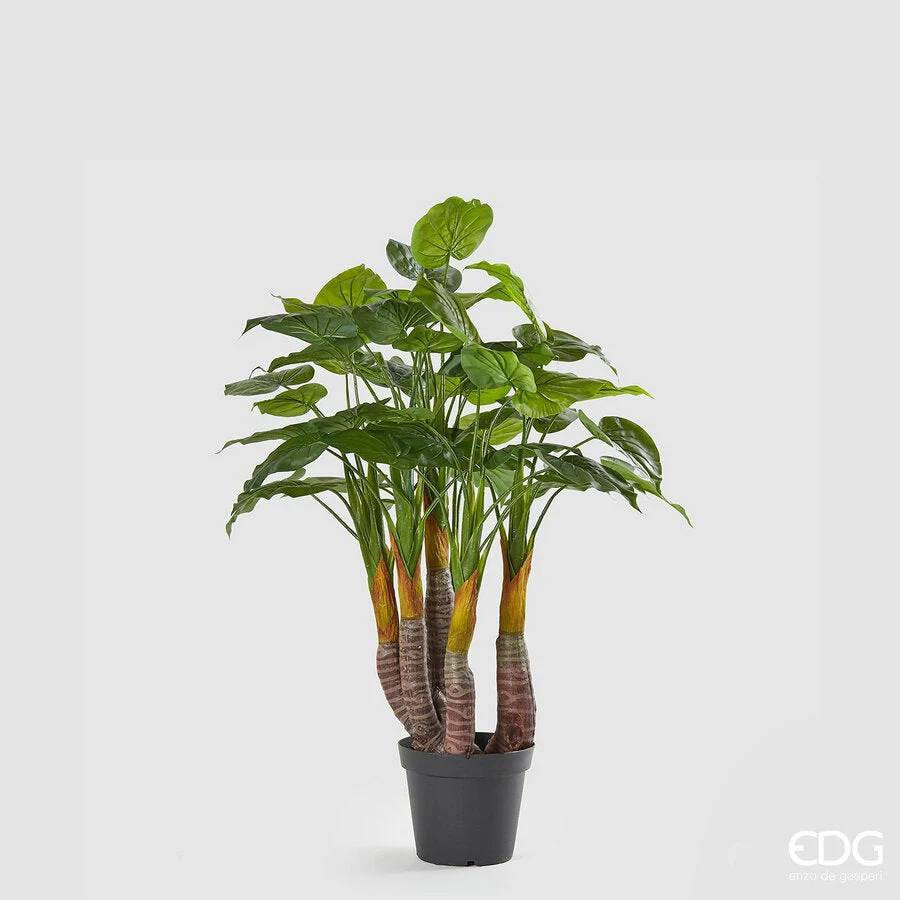 EDG Enzo De Gasperi Filodendro Pianta con Vaso Artificiale H 120 Cm Green