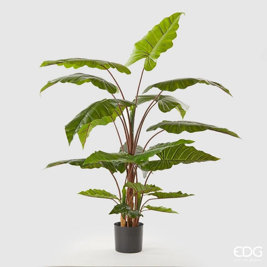 EDG Enzo De Gasperi Alocasia Chic con Vaso Artificiale H 170 Cm Green