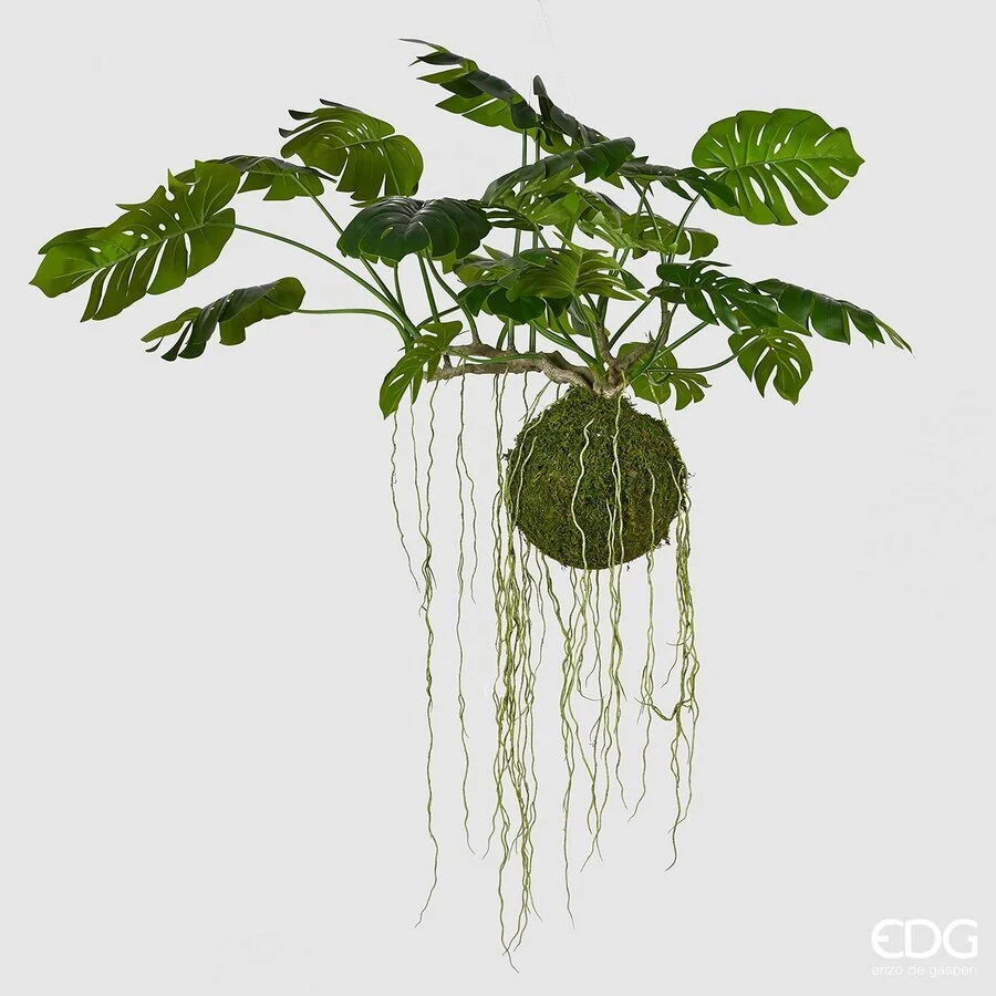 EDG Enzo De Gasperi Monstera Bell Pianta da Appendere Artificiale H 80 Cm L 140 Cm Green