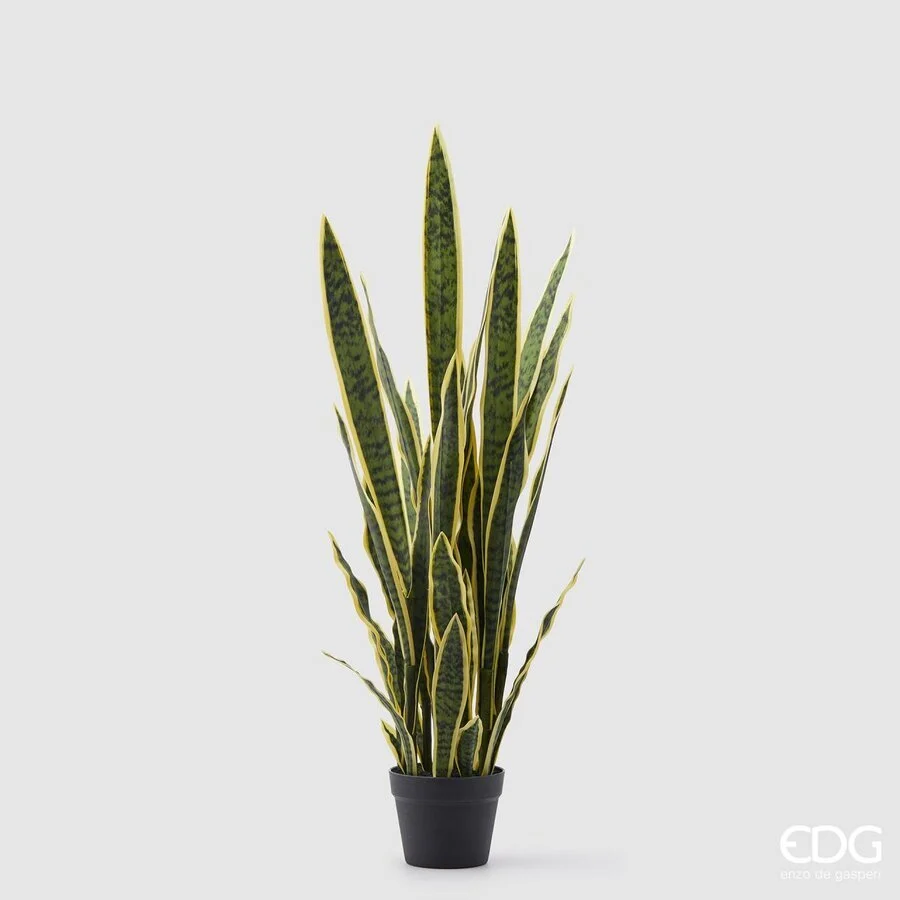 EDG Enzo De Gasperi Sanseveria West con Vaso Artificiale H 105 Cm Yellow Green