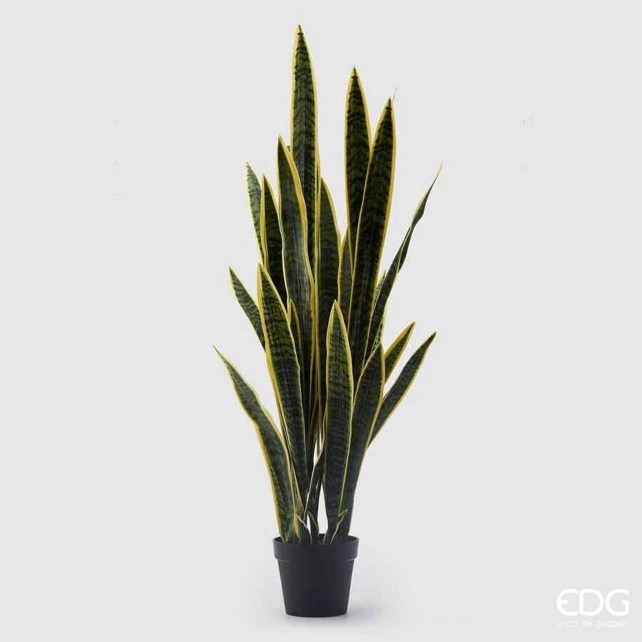 EDG Enzo De Gasperi Sanseveria West con Vaso Artificiale H 140 Cm Yellow Green