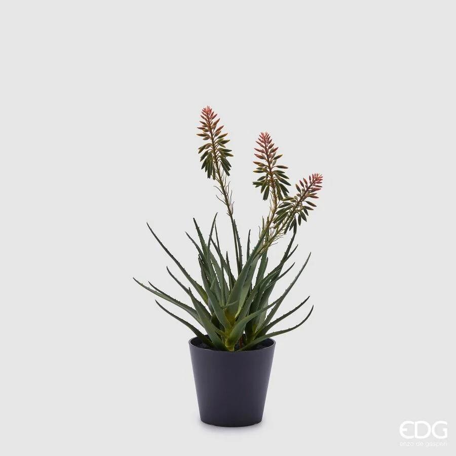 EDG Enzo De Gasperi Aloe Succ. con Fiori e Vaso Artificiale H 50 Cm Green