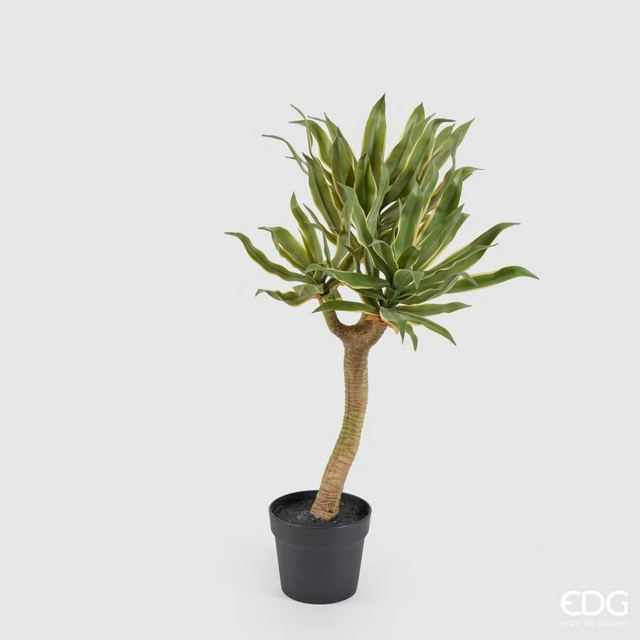 EDG Enzo De Gasperi Agave Chic 3 Rami Vaso Artificiale H 70 Cm Yellow Green