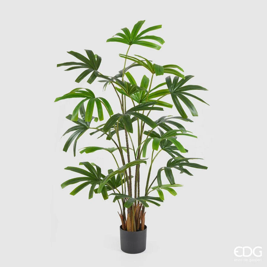 EDG Enzo De Gasperi Palma Rapisgracilis con Vaso Artificiale H 145 Cm Green
