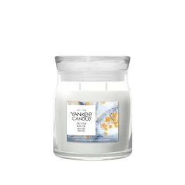 CANDELA IN GIARA MEDIA SILVER BIRCH