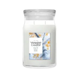 CANDELA IN GIARA GRANDE SILVER BIRCH