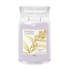 CANDELA IN GIARA GRANDE LAVENDER BLISS