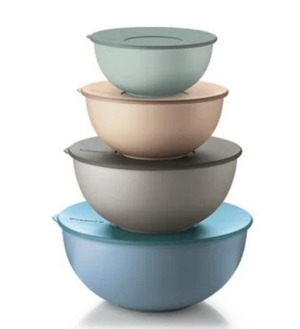 GUZZINI Set 4 Contenitori Everywhere Ermetici con Coperchio Multicolor