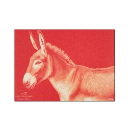 FAUNE&FLORE FARM TOVAGLIETTA 42,5X30 CM ARANCIONE