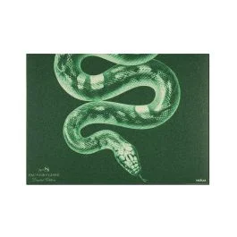 FAUNE&FLORE REPTILES TOVAGLIETTA 42,5X33 CM VERDE