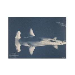 FAUNE&FLORE OCEAN TOVAGLIETTA 42,5X34 CM BLU SCURO