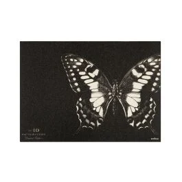 FAUNE&FLORE INSECTS TOVAGLIETTA 42,5X35 CM NERO