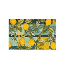 PASSATOIA BOBOLI CM 45X75