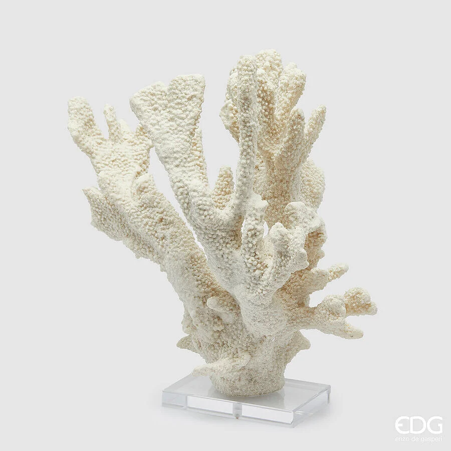 EDG Enzo De Gasperi Scultura Corallo H 38,5 Cm L 37 Cm L 14 Cm Ivory