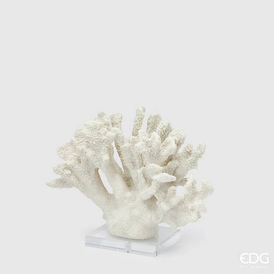 EDG Enzo De Gasperi Scultura Corallo H 22 Cm L 28 Cm L 10 Cm Ivory