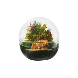 COMPOSIZIONE 15X15 CM CON PIANTE E MUSCHI CON PIANTE E MUSCHI STABILIZZATI