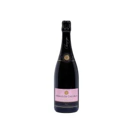 CHAMPAGNE AOC BRUT ROSE SA 0,75 LT